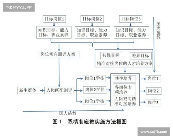 通过实践经验协助艾维娜解决难题的有效方法与技巧分析 通过实践经验协助艾维娜解决难题的有效方法与技巧分析
