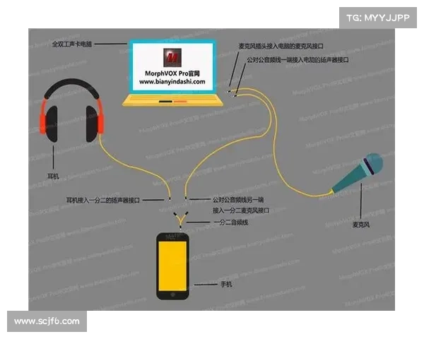 MorphVox Pro语音变换技巧全解析提升语音表现的实用方法与操作指南 MorphVox Pro语音变换技巧全解析提升语音表现的实用方法与操作指南