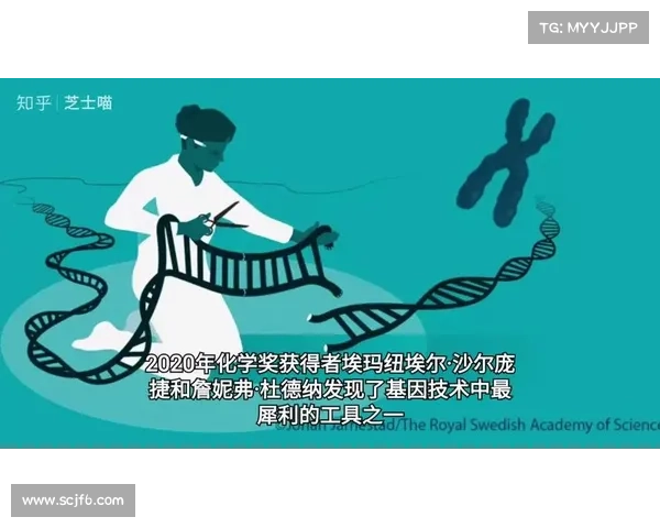 盲人如何通过独特感知与创新力创造属于自己的奇迹 盲人如何通过独特感知与创新力创造属于自己的奇迹