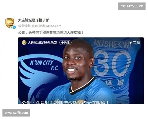 大连鲲城与穆谢奎长约深度解析：合同细节、影响力及未来展望