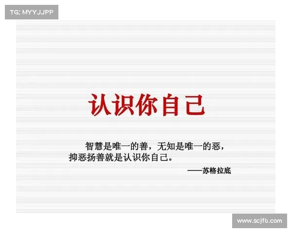 如何从库普梅纳斯的职业精神中汲取成功的智慧与实践经验 如何从库普梅纳斯的职业精神中汲取成功的智慧与实践经验